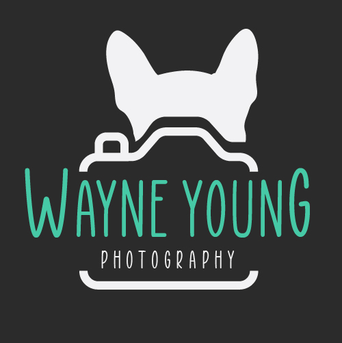 Wayne Young Photography